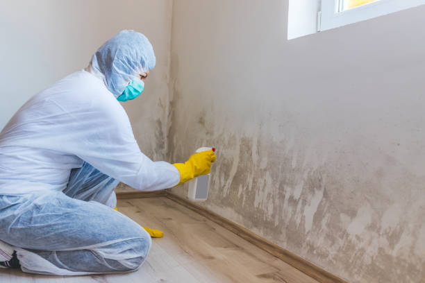 Hvac And Air Duct Mold Remediation inspection of HVAC system in Windsor